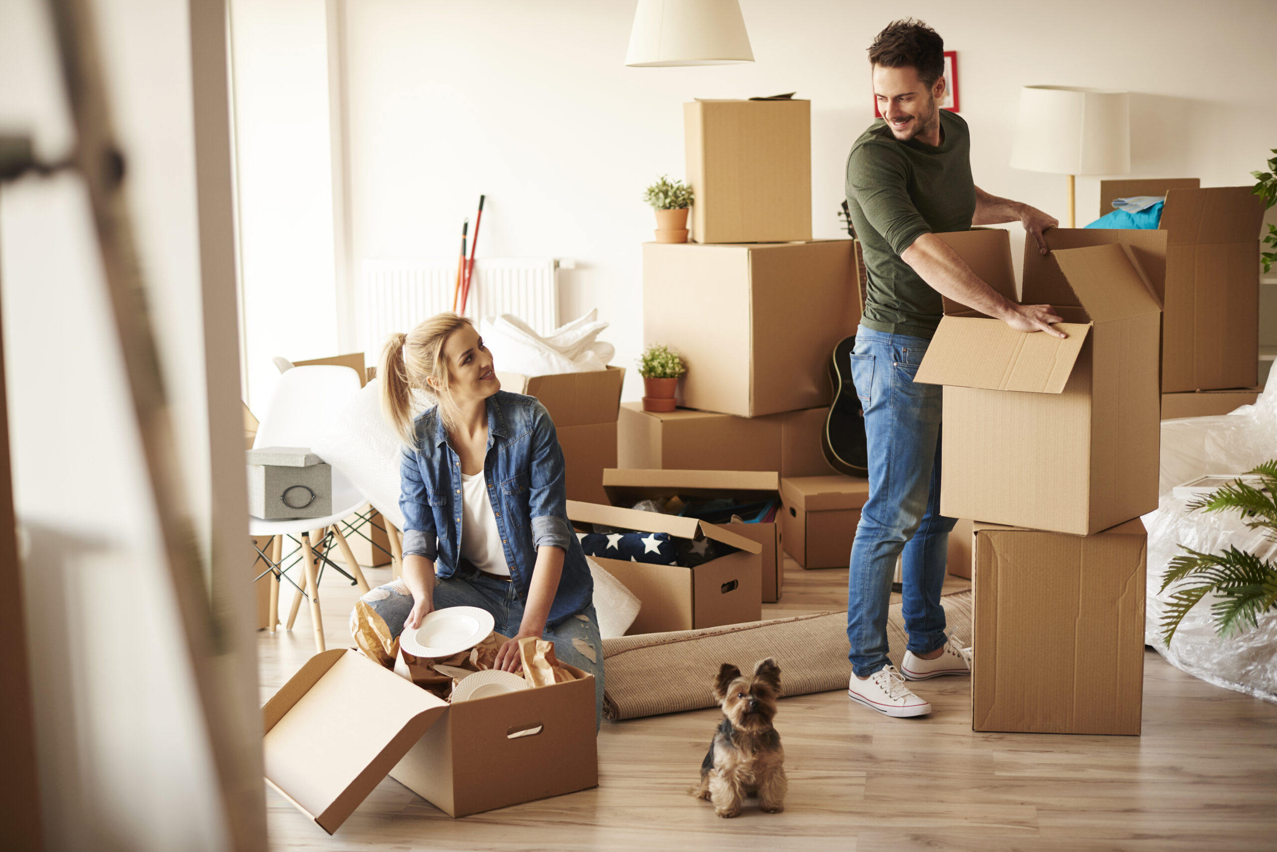 Tips and Strategies for a Smooth Relocation